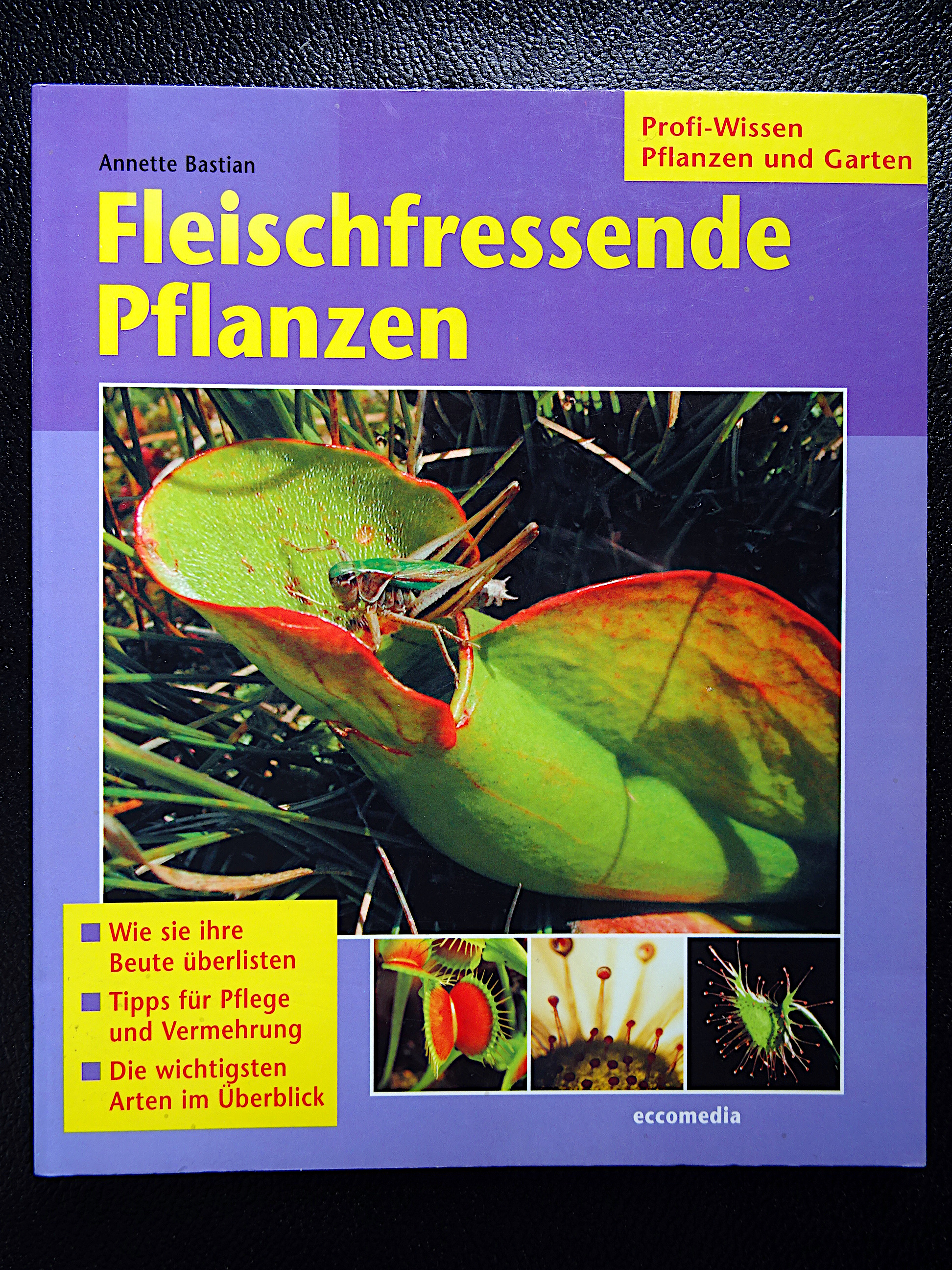 Bastian 2003