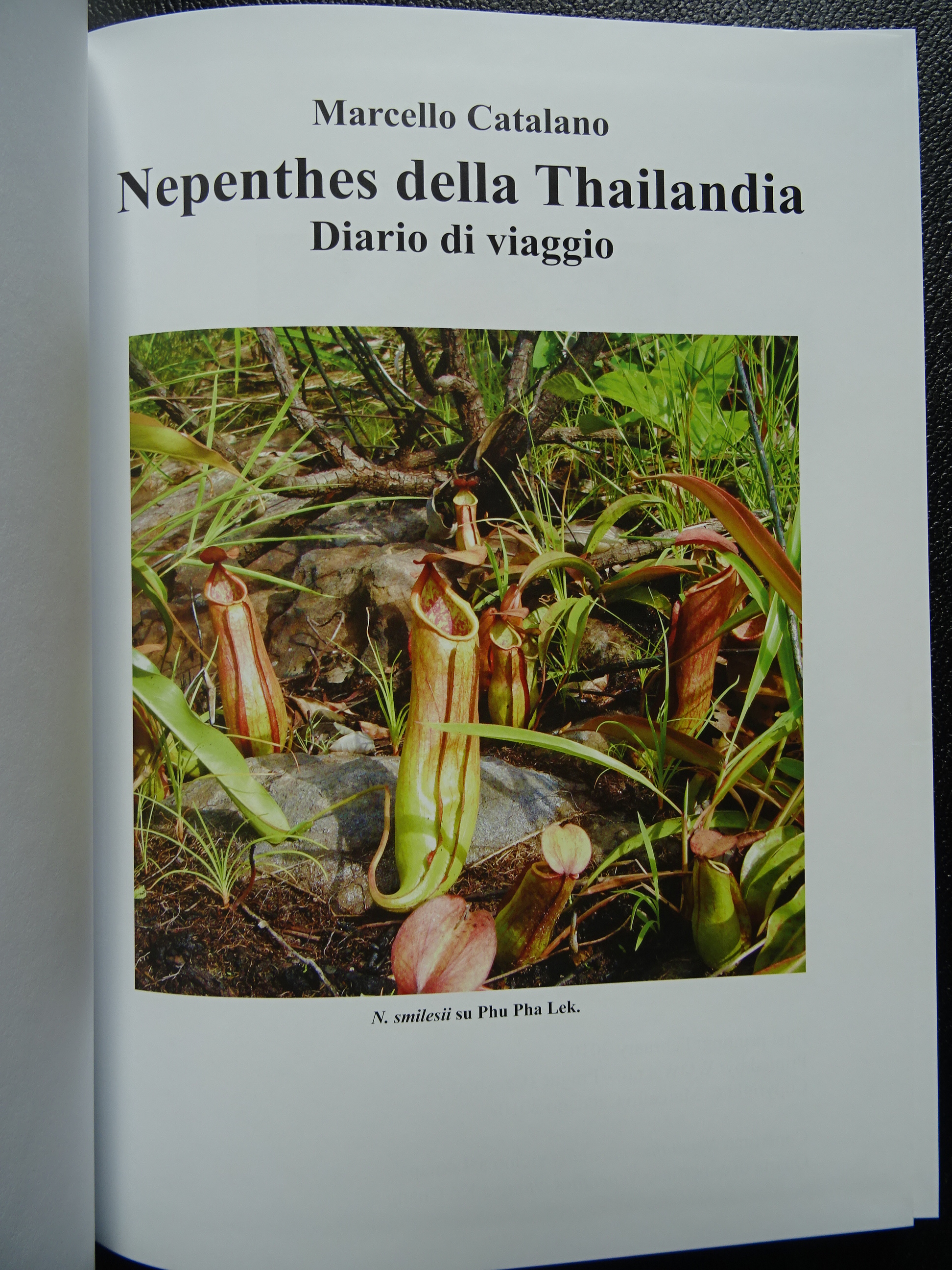 Title page