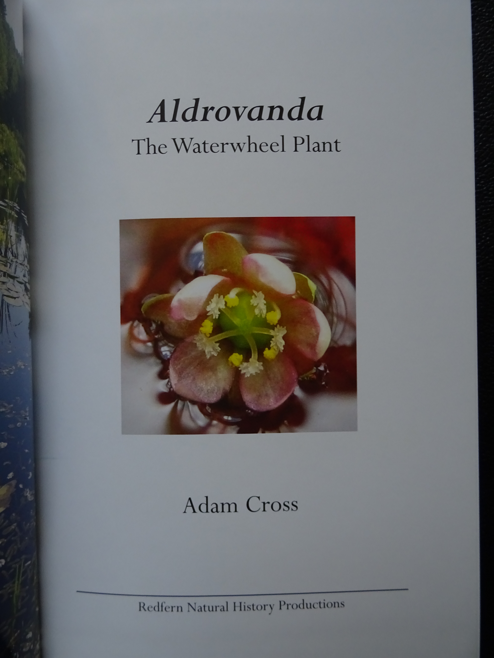 Title page
