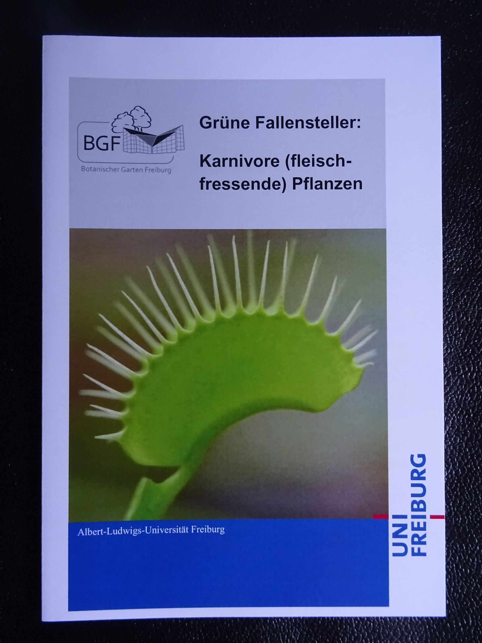 Freiburg 2019