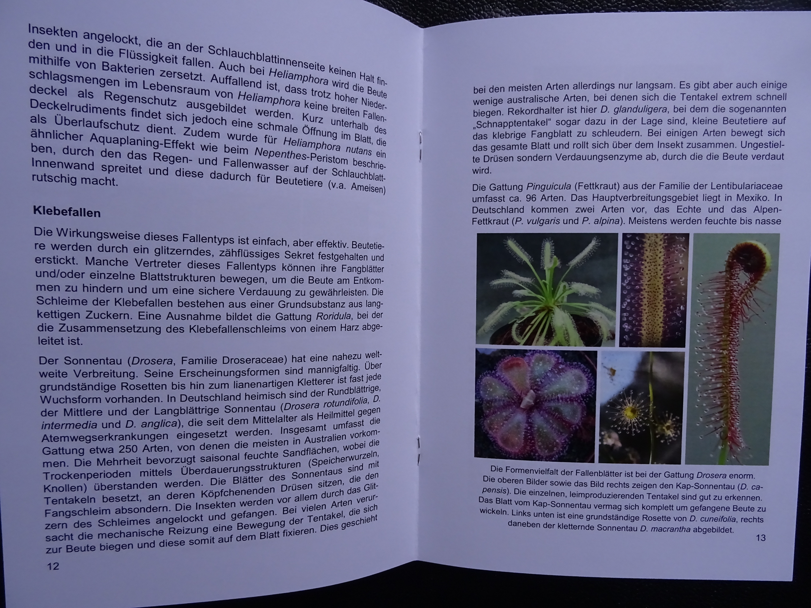 Sample page