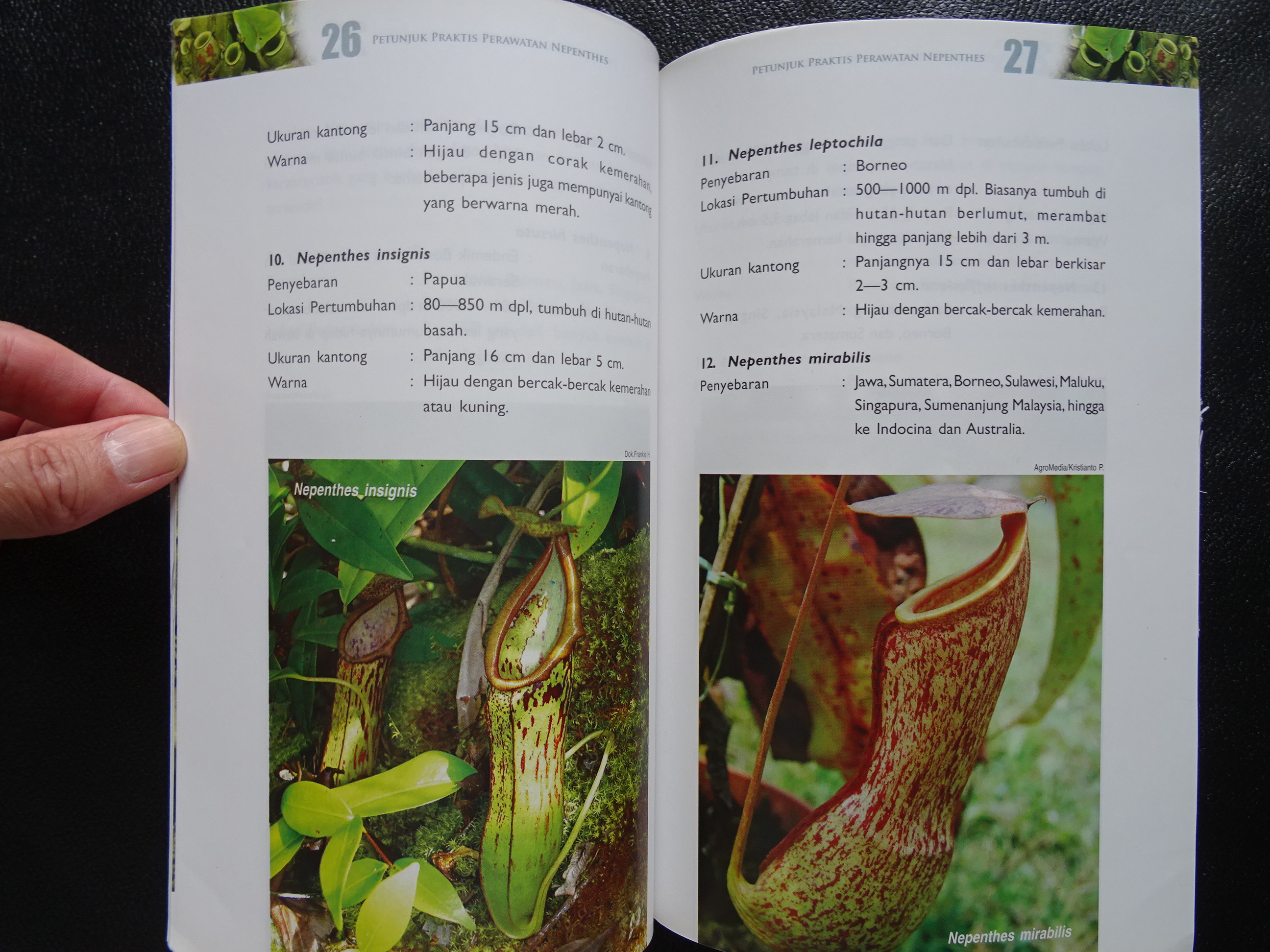 Sample page