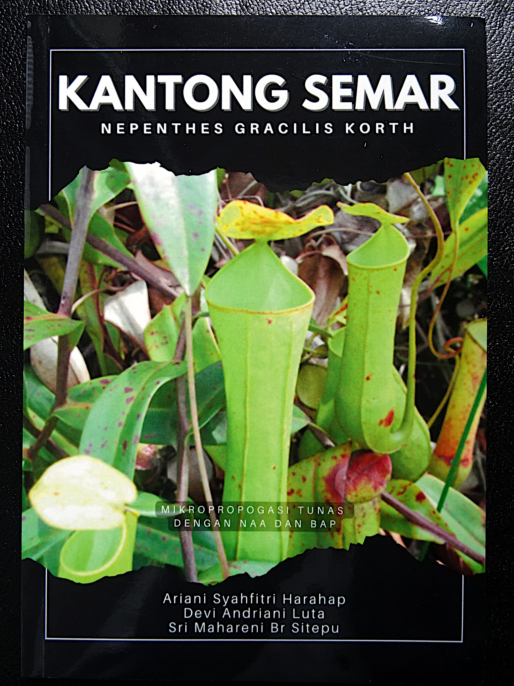 Harahap 2023