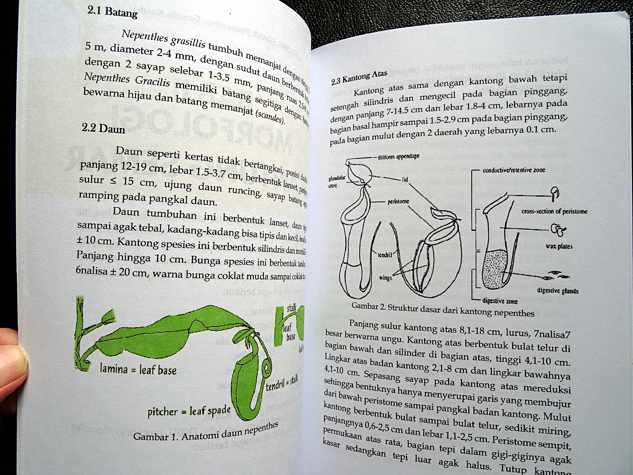 Sample page