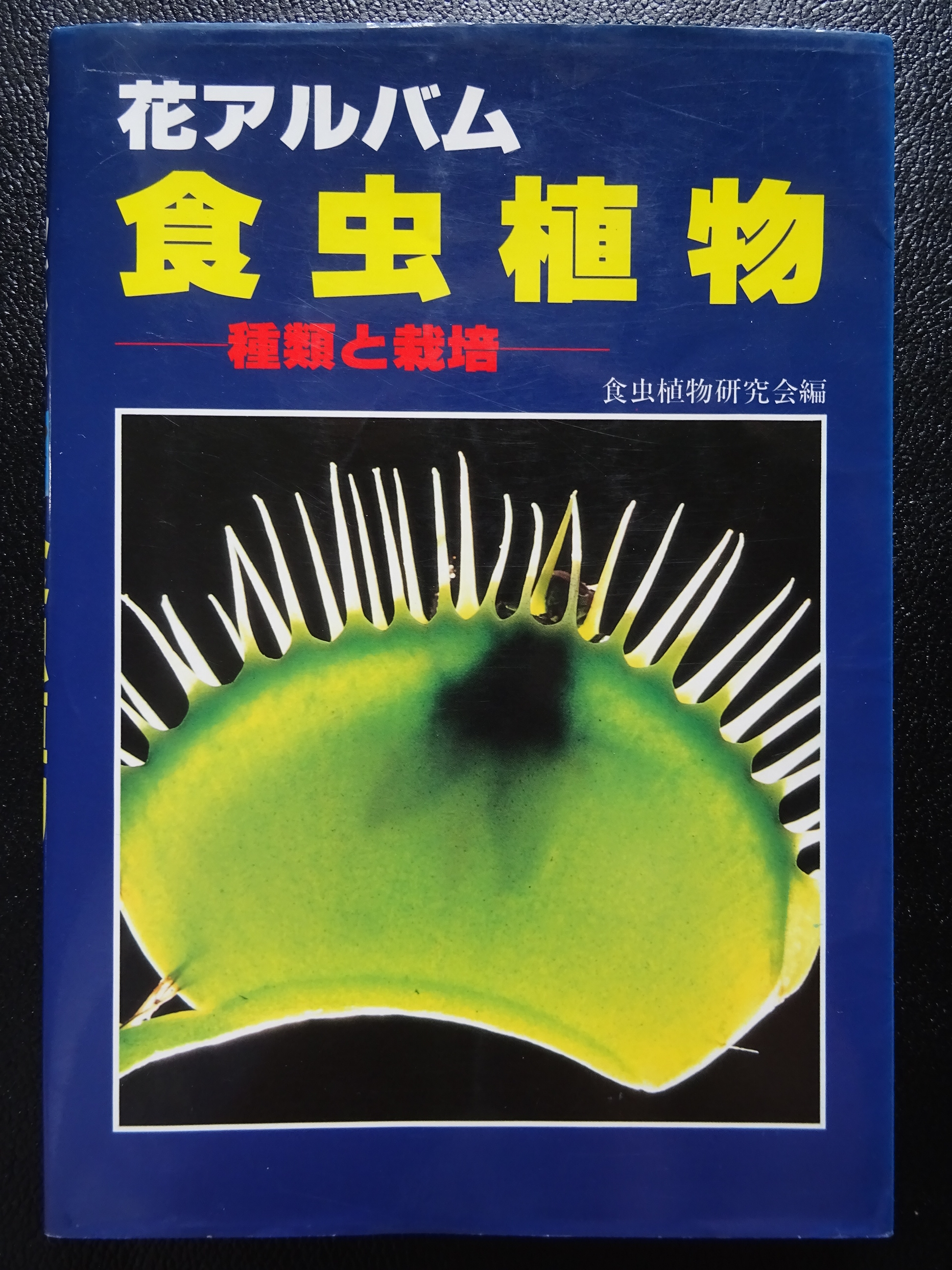 ICPS 1996