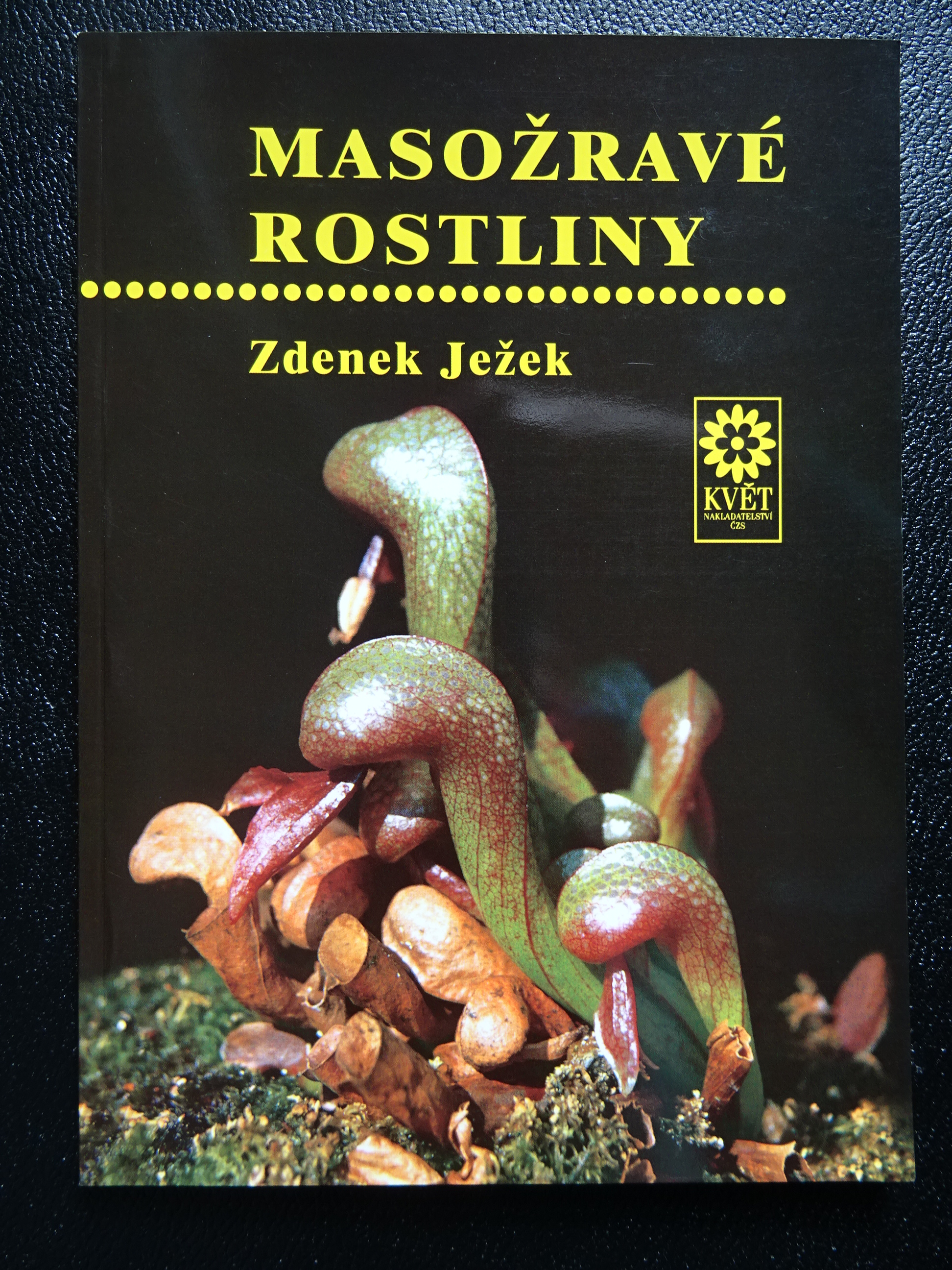 Ježek 1997