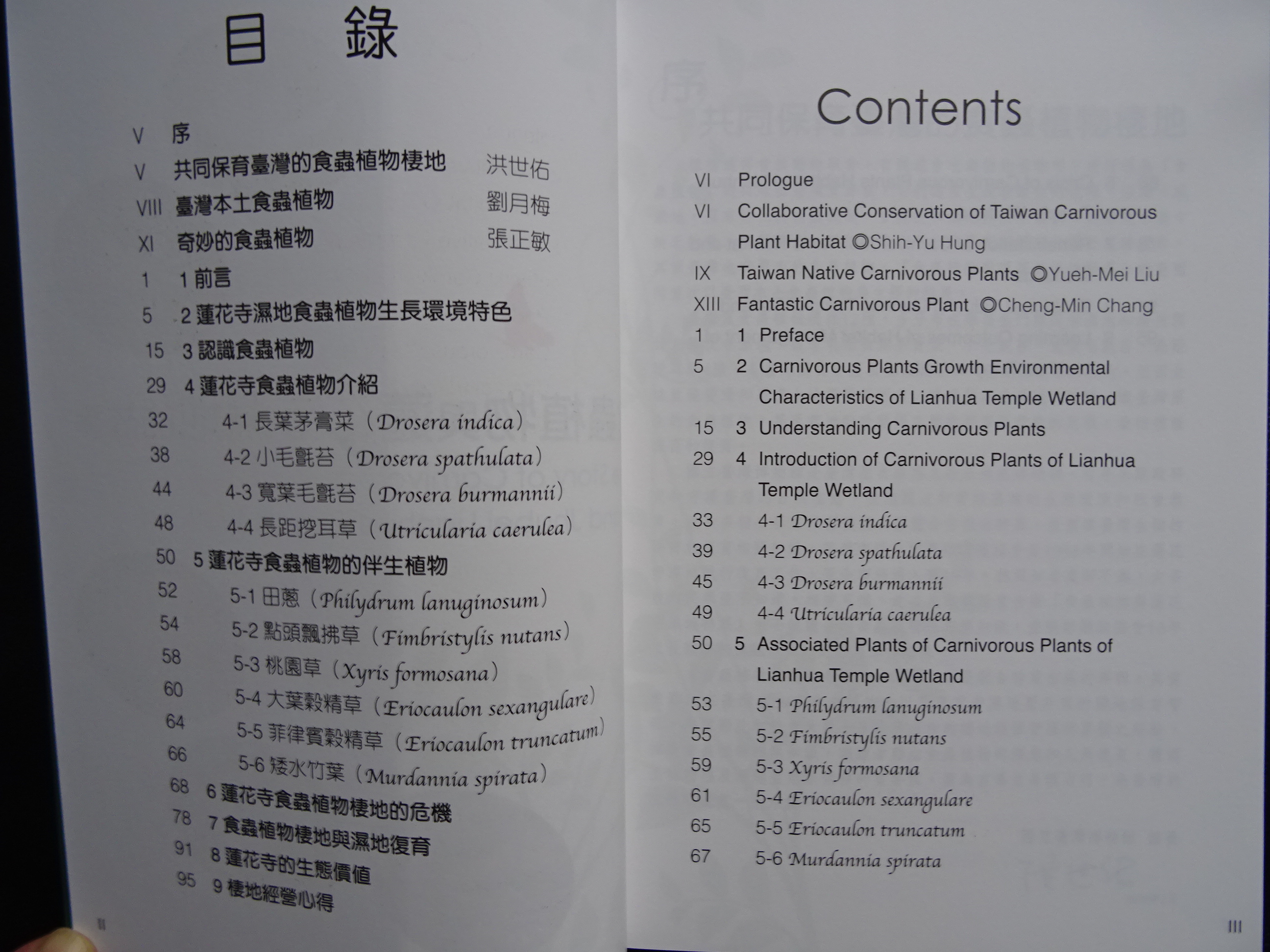 Sample page 6 - contents