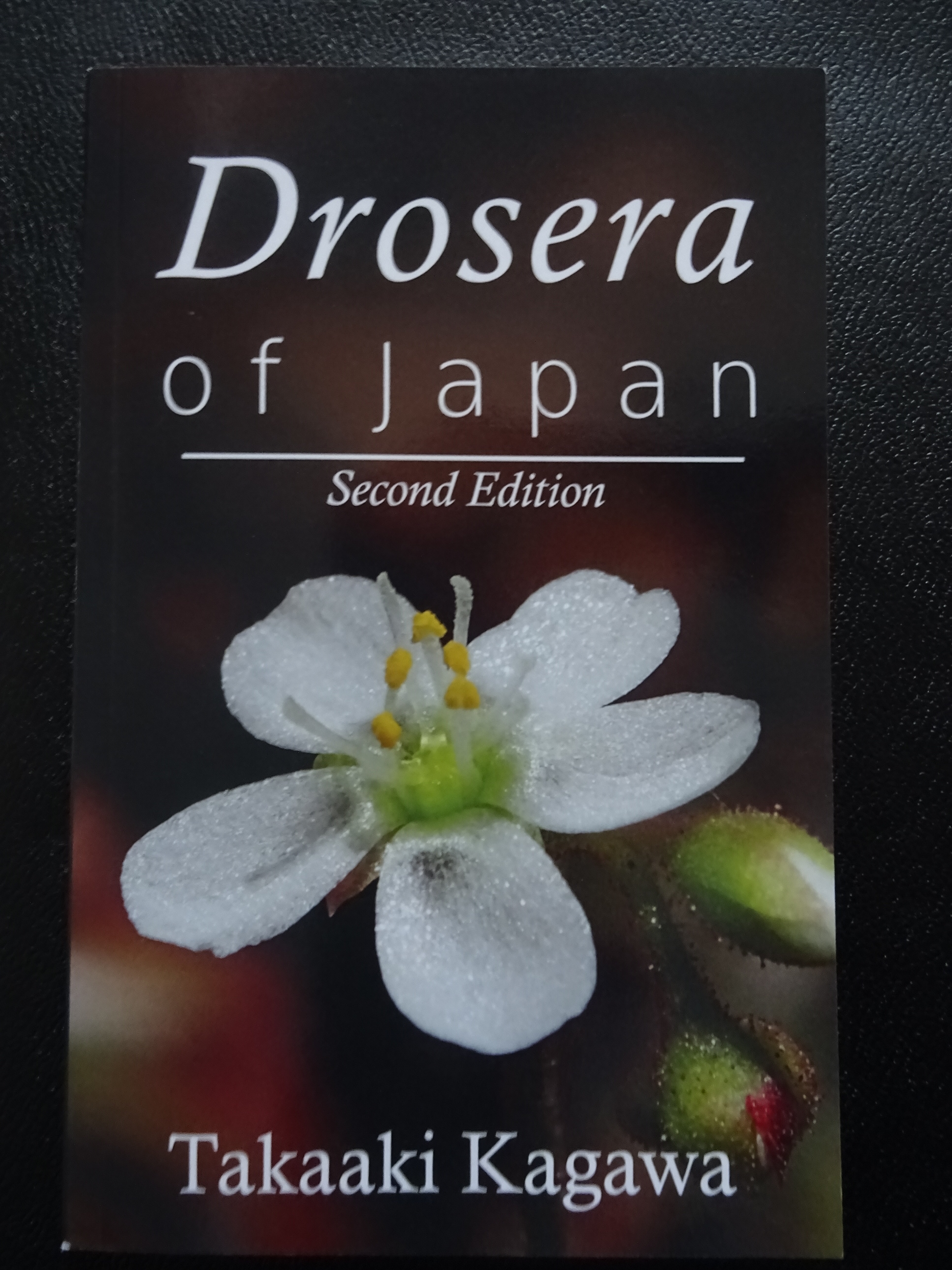 Kagawa 2015