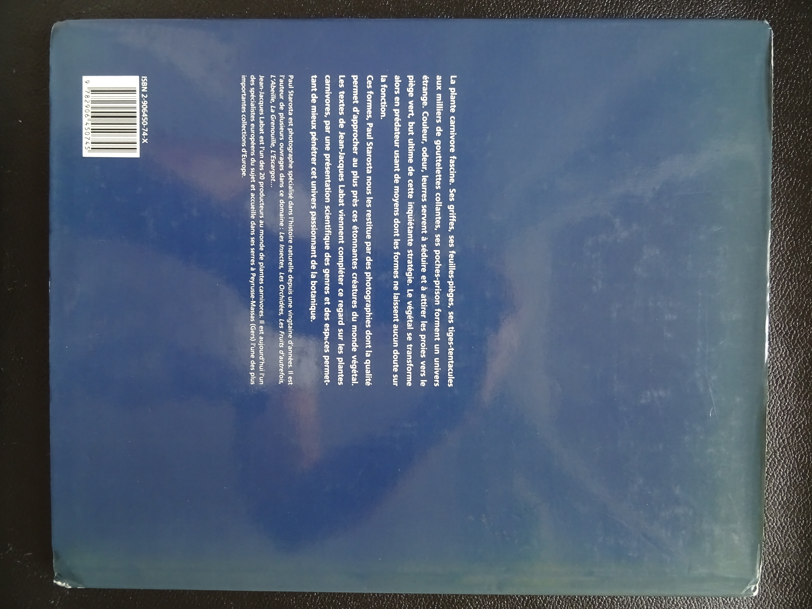 Back