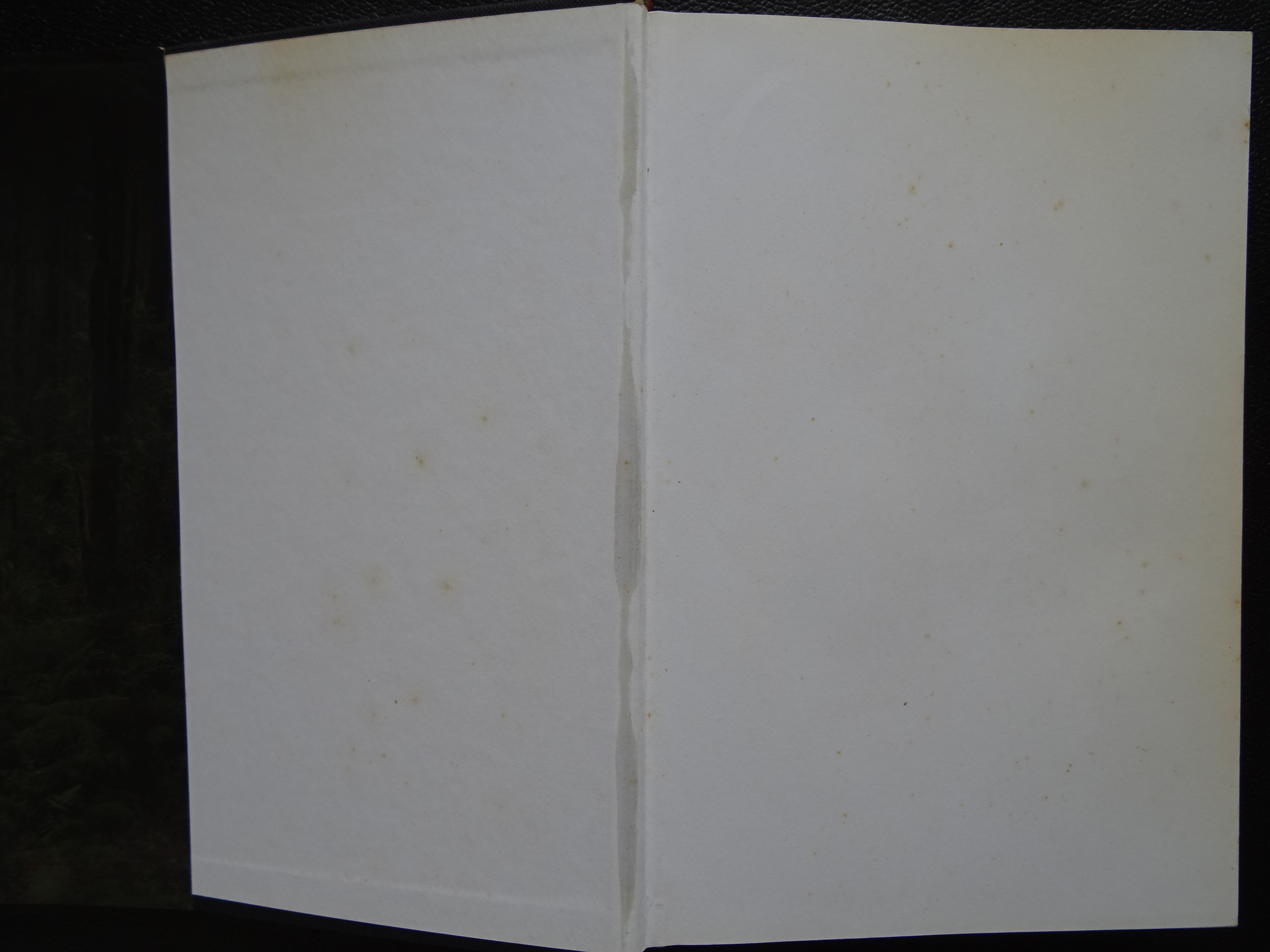 Front endpapers