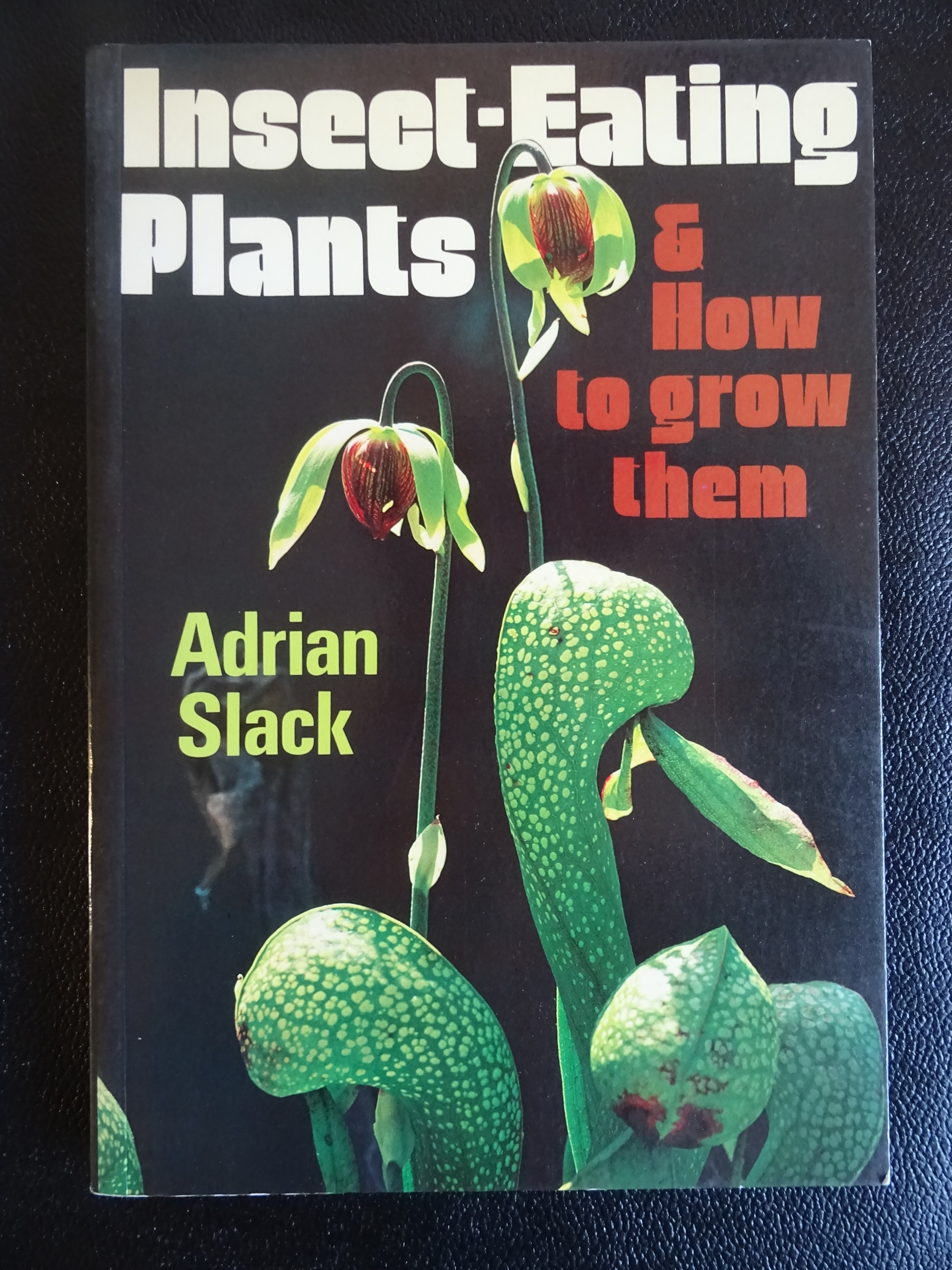 Slack 1986