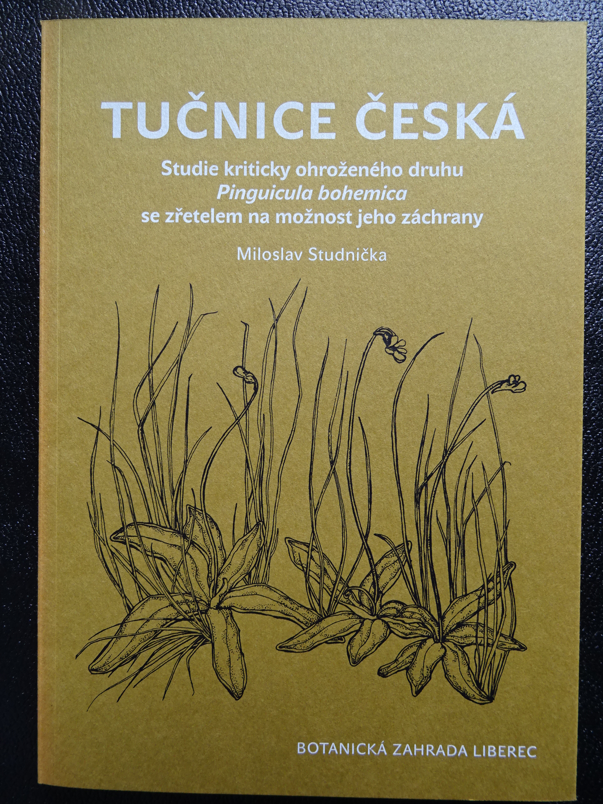 Studnicka Bohemica
