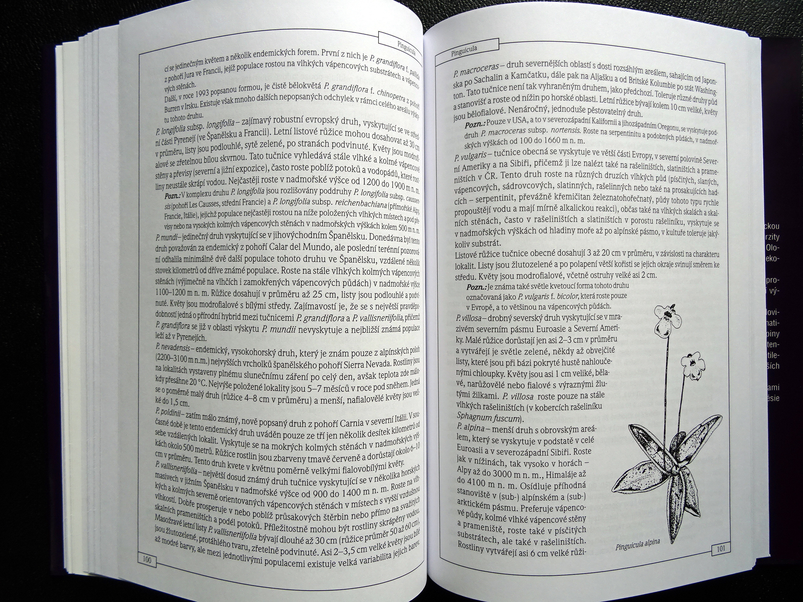 Sample page 2