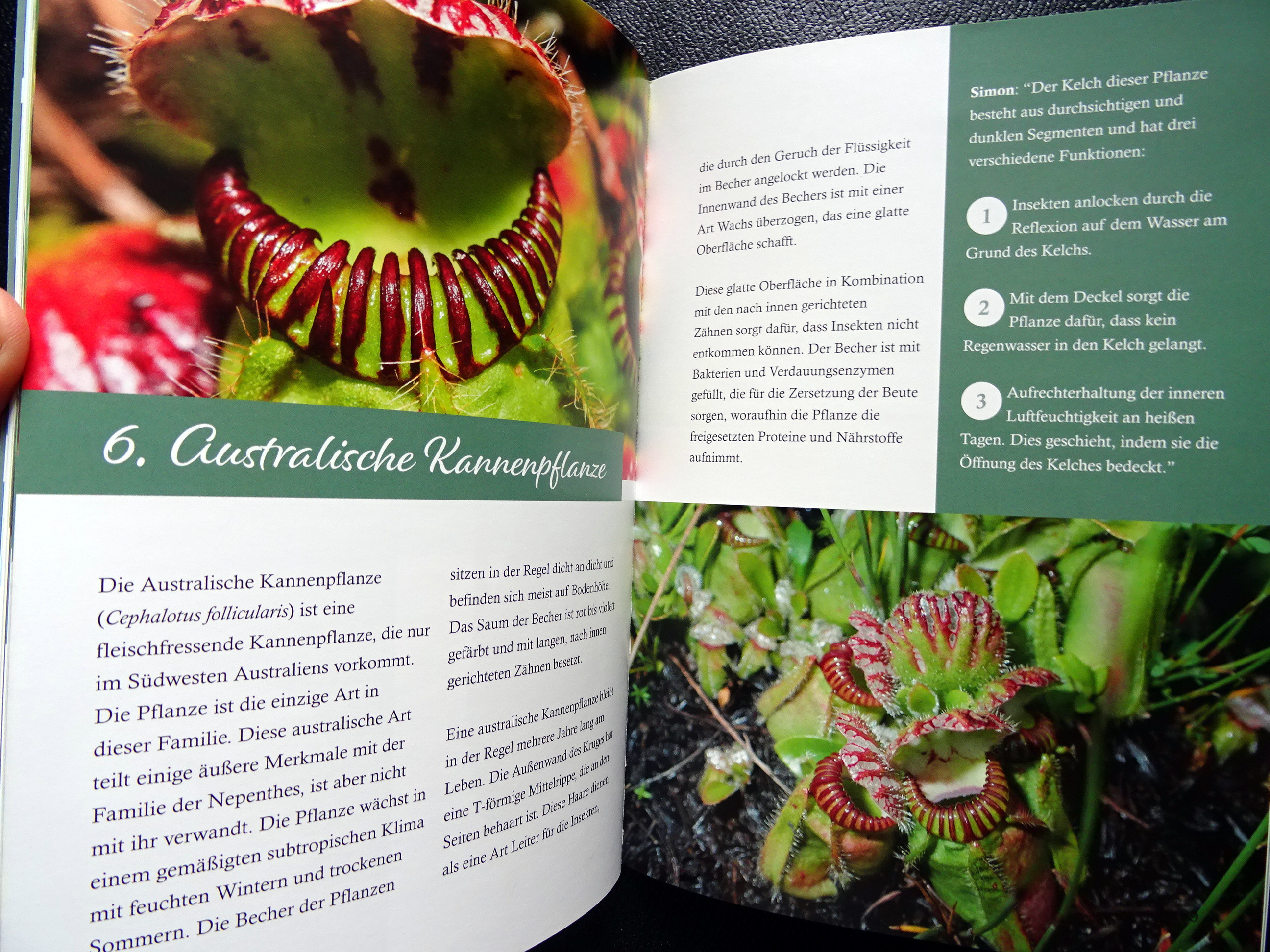 Sample page
