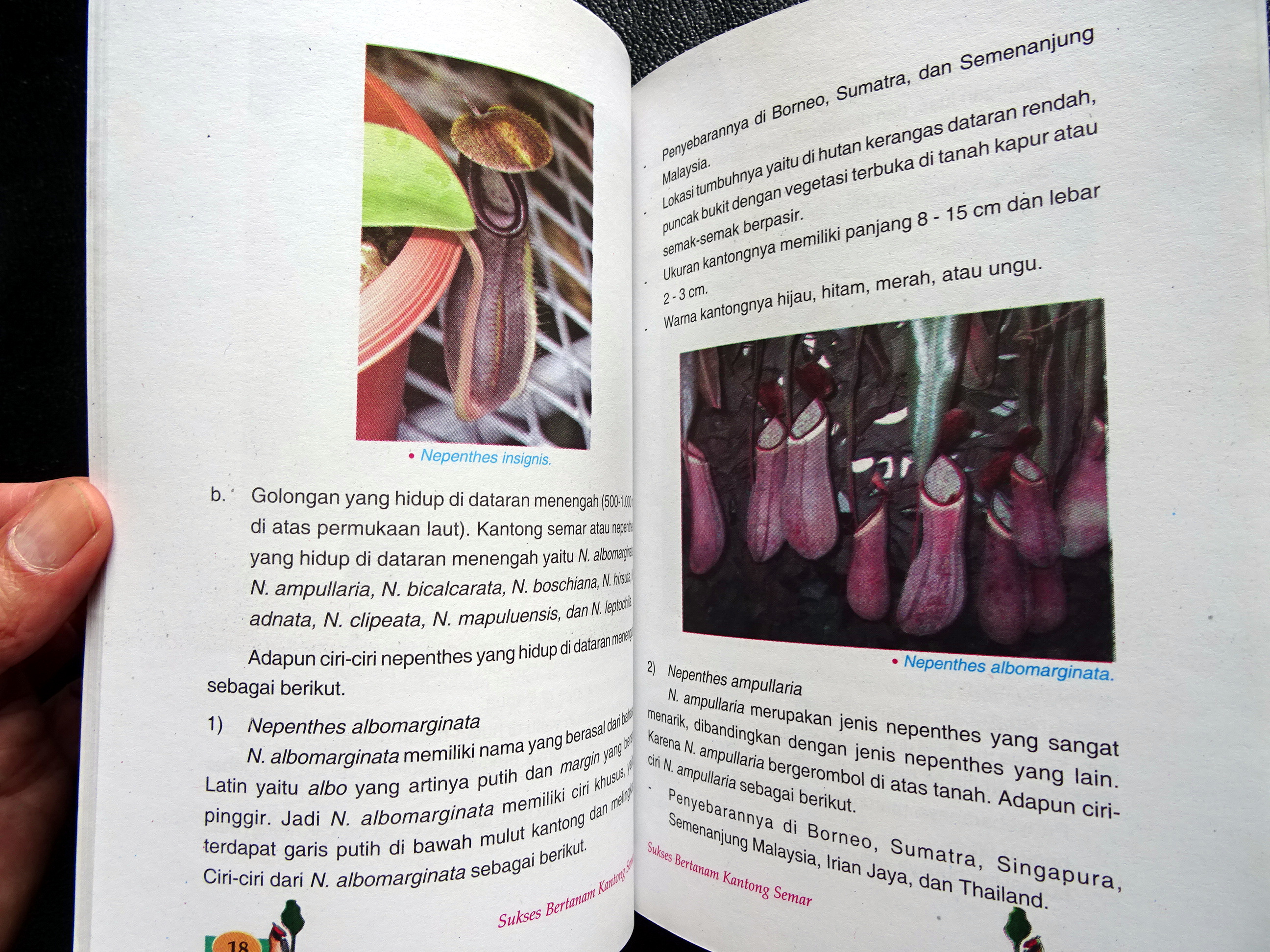 Sample page
